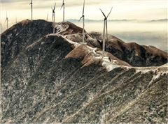 临武三十六湾风电场边坡绿化、生态恢复项目