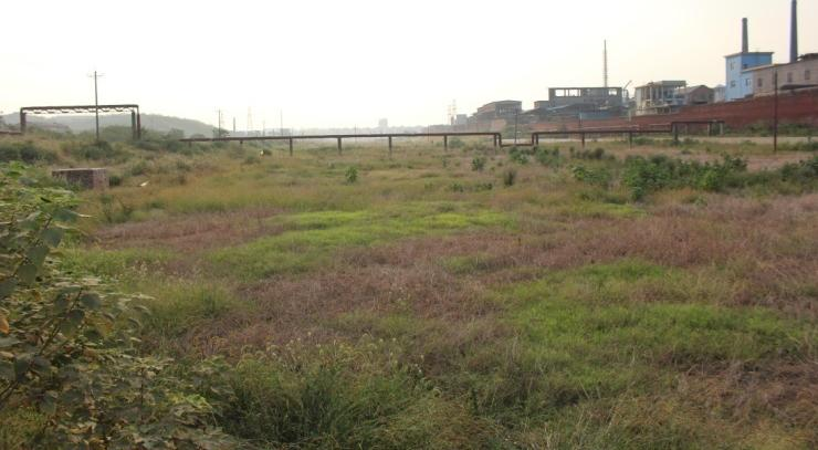 常宁市水口山地区重金属污染土壤修复项目