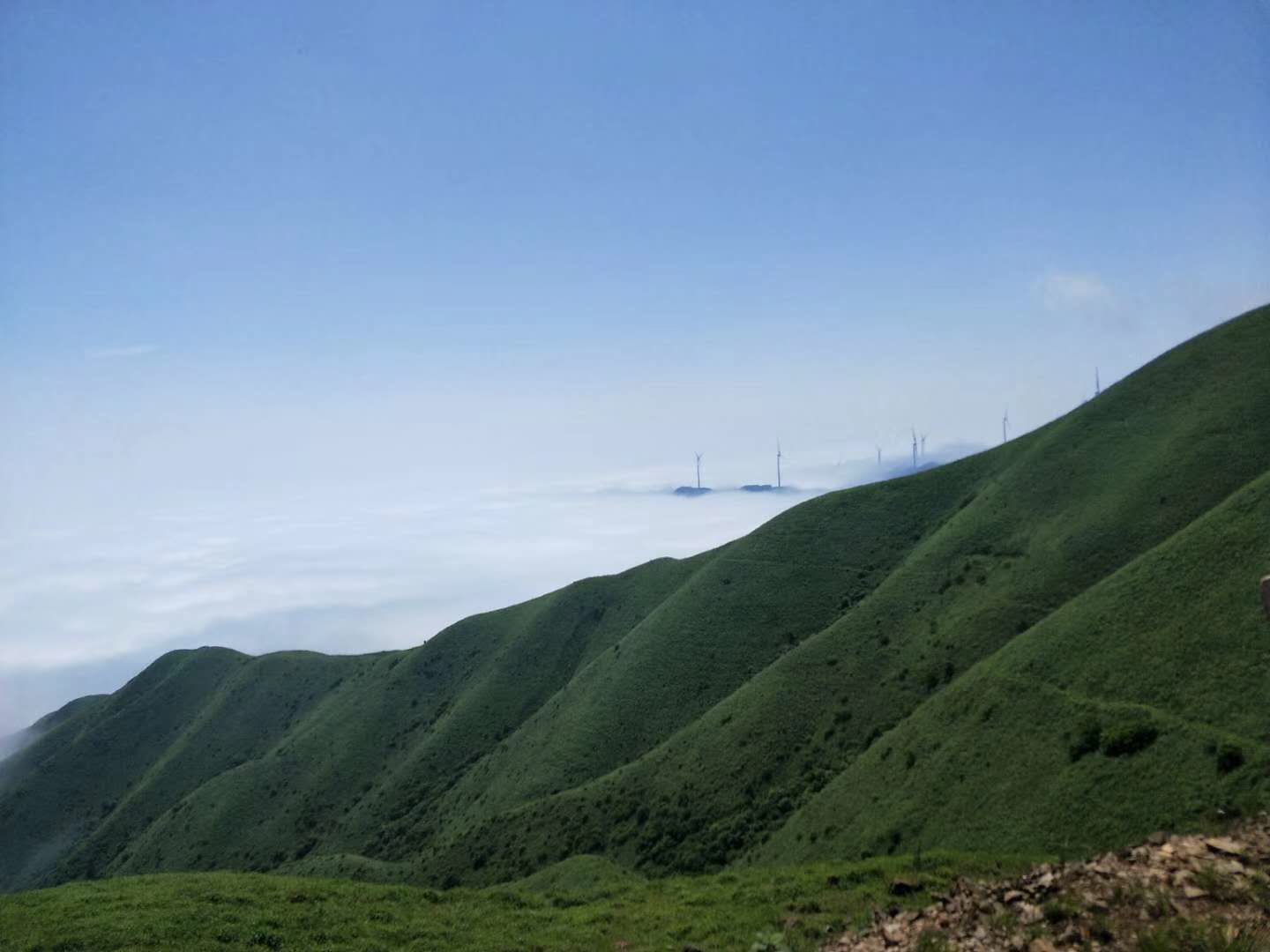 临武三十六湾风电场边坡绿化、生态恢复项目